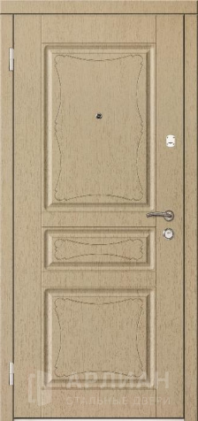 Фото №2 «Железная дверь с порошковым окрасом №19»